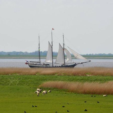 Auszeit Am Elbdeich In Sankt Margarethen公寓 外观 照片